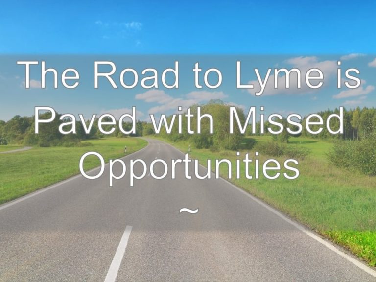 road to lyme